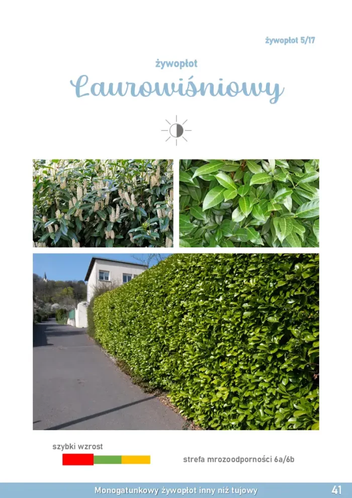 e-book-zywoplot-strona-41
