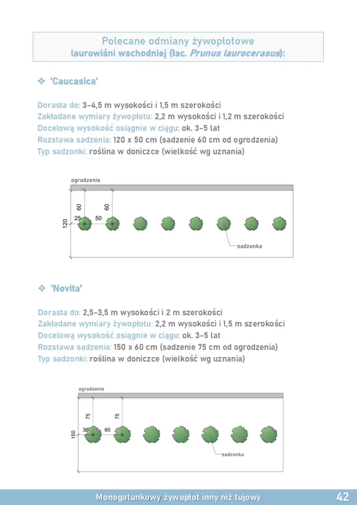 e-book-zywoplot-strona-42