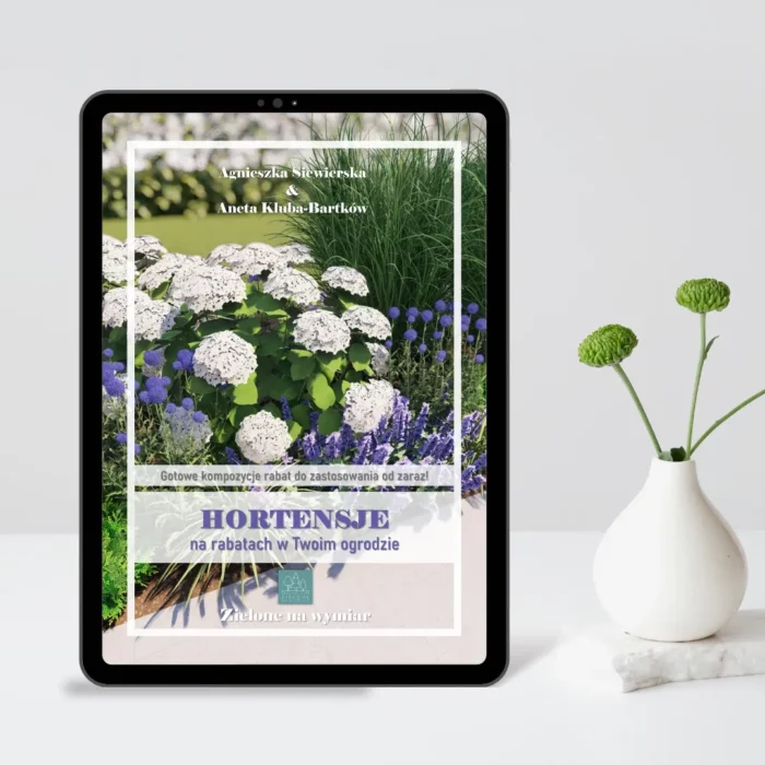 E-book "Hortensje na rabatach w Twoim ogrodzie". Gotowe kompozycje rabat do zastosowania od zaraz!
