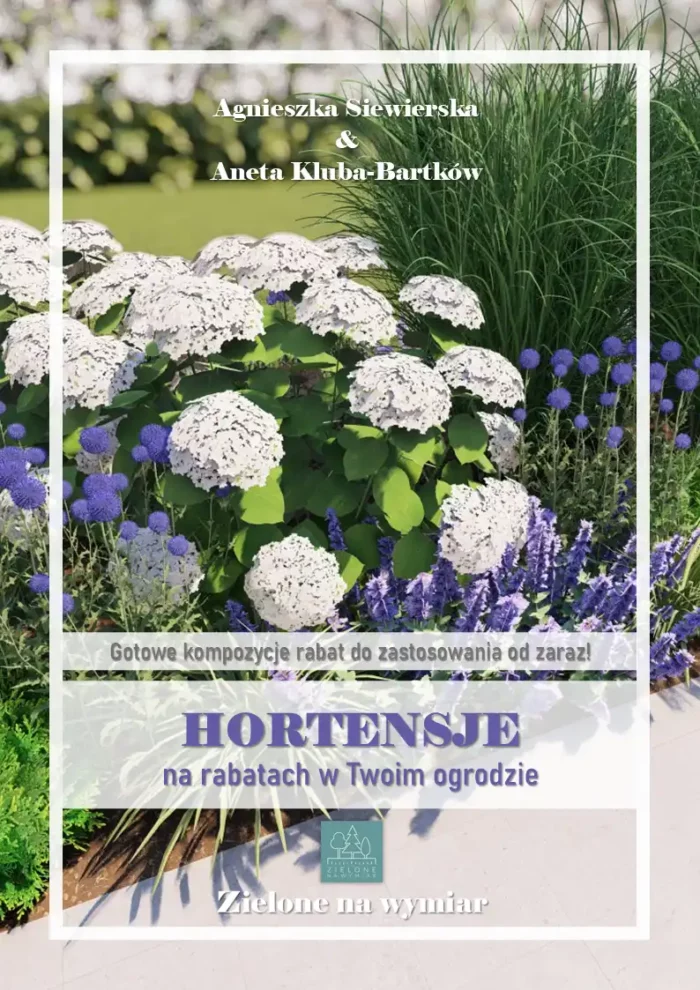 E-book-okładka-1